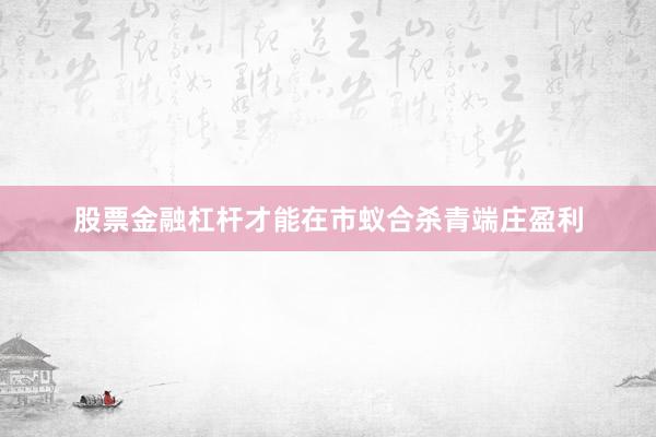 股票金融杠杆才能在市蚁合杀青端庄盈利