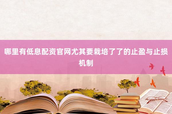 哪里有低息配资官网尤其要栽培了了的止盈与止损机制