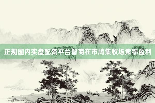 正规国内实盘配资平台智商在市鸠集收场肃穆盈利