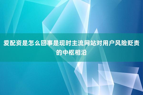爱配资是怎么回事是现时主流网站对用户风险贬责的中枢相沿