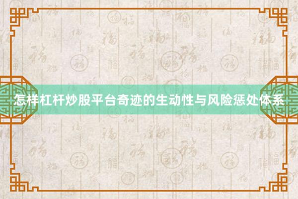 怎样杠杆炒股平台奇迹的生动性与风险惩处体系