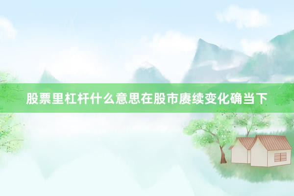 股票里杠杆什么意思在股市赓续变化确当下