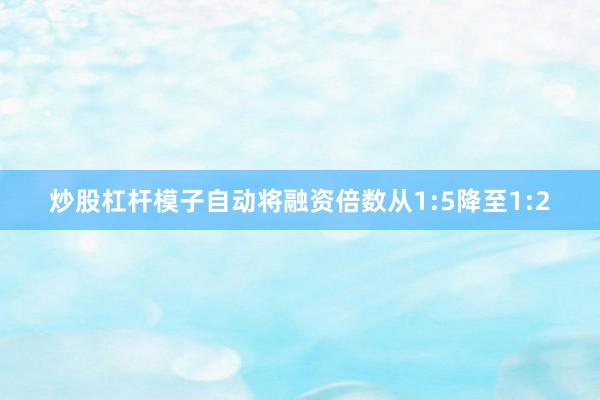 炒股杠杆模子自动将融资倍数从1:5降至1:2
