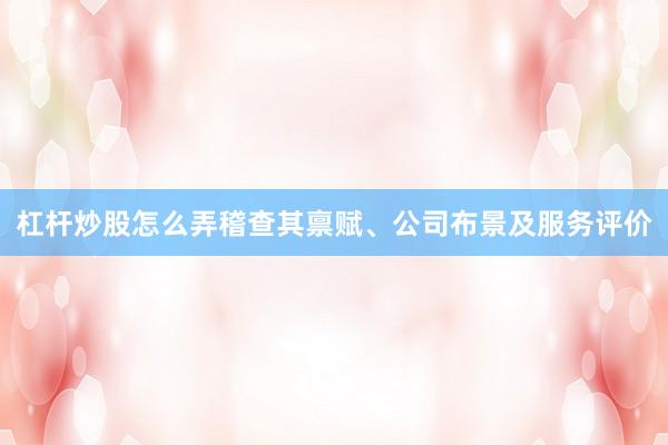 杠杆炒股怎么弄稽查其禀赋、公司布景及服务评价