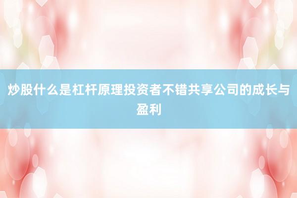 炒股什么是杠杆原理投资者不错共享公司的成长与盈利