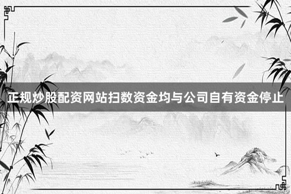正规炒股配资网站扫数资金均与公司自有资金停止