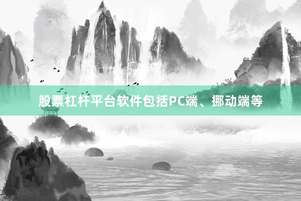 股票杠杆平台软件包括PC端、挪动端等