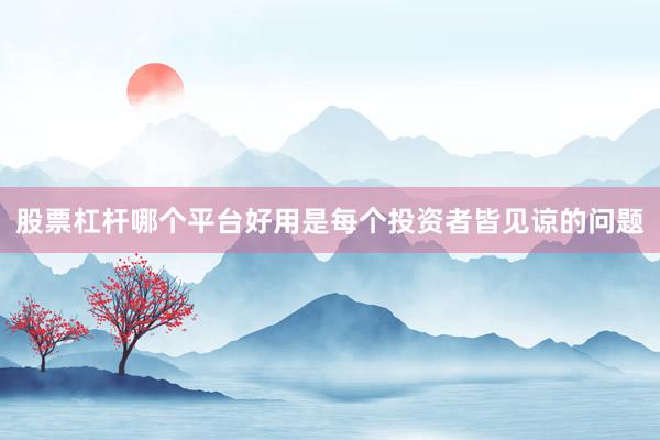股票杠杆哪个平台好用是每个投资者皆见谅的问题
