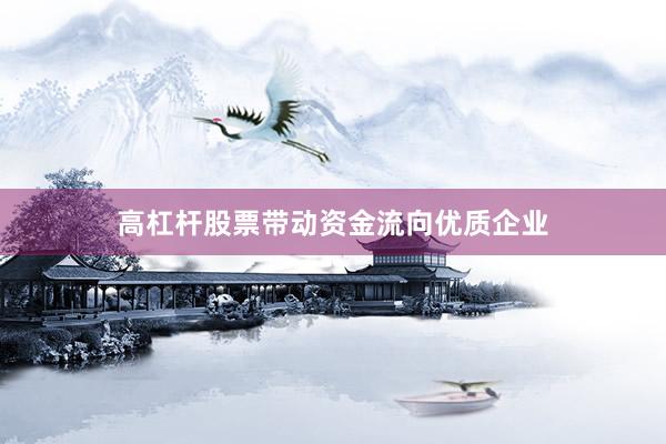 高杠杆股票带动资金流向优质企业
