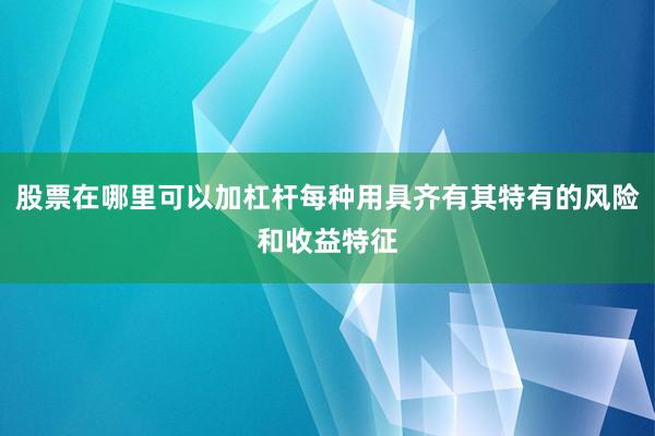 股票在哪里可以加杠杆每种用具齐有其特有的风险和收益特征