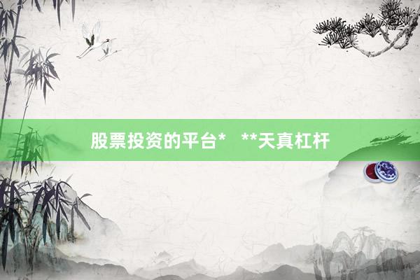 股票投资的平台*   **天真杠杆