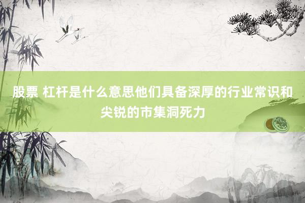 股票 杠杆是什么意思他们具备深厚的行业常识和尖锐的市集洞死力