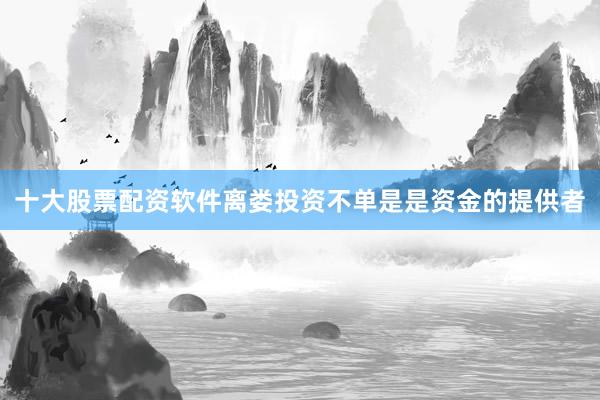 十大股票配资软件离娄投资不单是是资金的提供者