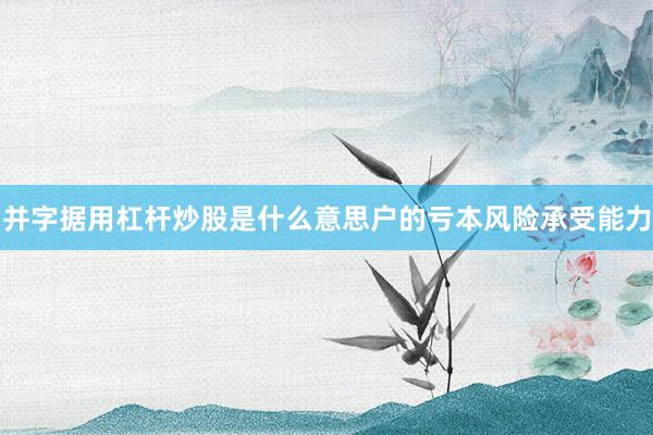 并字据用杠杆炒股是什么意思户的亏本风险承受能力