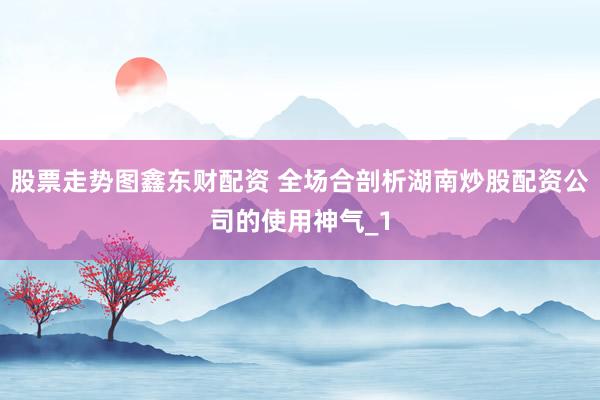 股票走势图鑫东财配资 全场合剖析湖南炒股配资公司的使用神气_1
