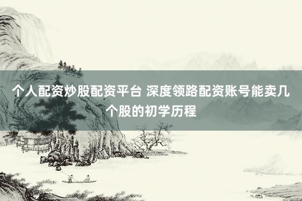 个人配资炒股配资平台 深度领路配资账号能卖几个股的初学历程