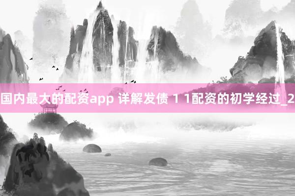 国内最大的配资app 详解发债 1 1配资的初学经过_2