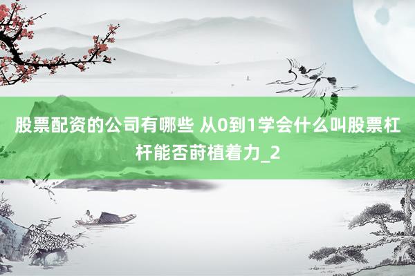 股票配资的公司有哪些 从0到1学会什么叫股票杠杆能否莳植着力_2