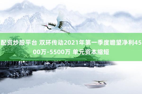 配资炒股平台 双环传动2021年第一季度瞻望净利4500万-5500万 单元资本缩短
