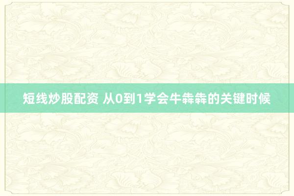 短线炒股配资 从0到1学会牛犇犇的关键时候