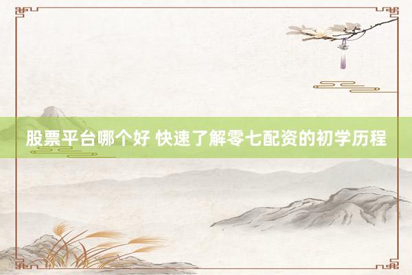 股票平台哪个好 快速了解零七配资的初学历程
