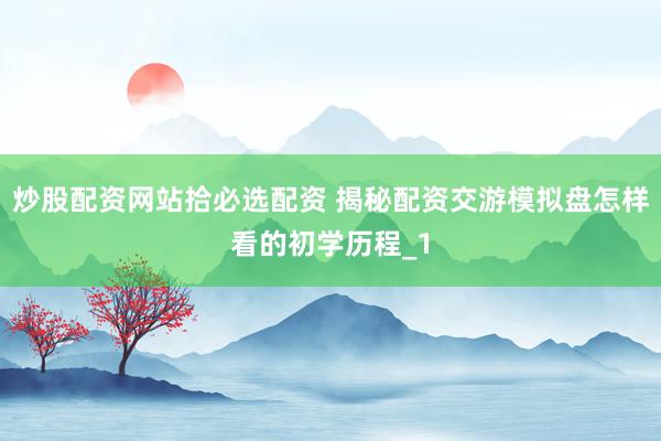 炒股配资网站拾必选配资 揭秘配资交游模拟盘怎样看的初学历程_1