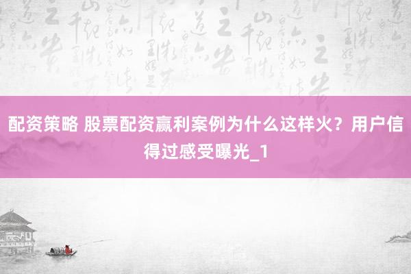 配资策略 股票配资赢利案例为什么这样火？用户信得过感受曝光_1