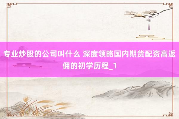 专业炒股的公司叫什么 深度领略国内期货配资高返佣的初学历程_1