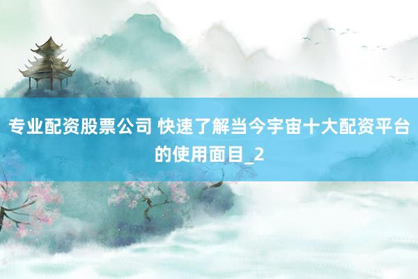 专业配资股票公司 快速了解当今宇宙十大配资平台的使用面目_2