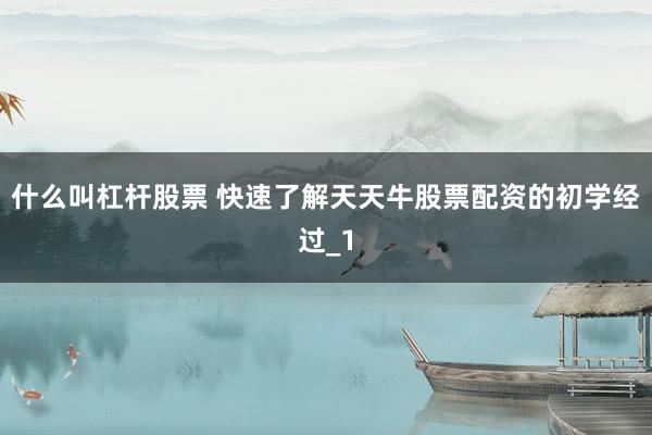 什么叫杠杆股票 快速了解天天牛股票配资的初学经过_1