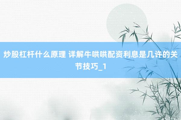 炒股杠杆什么原理 详解牛哄哄配资利息是几许的关节技巧_1