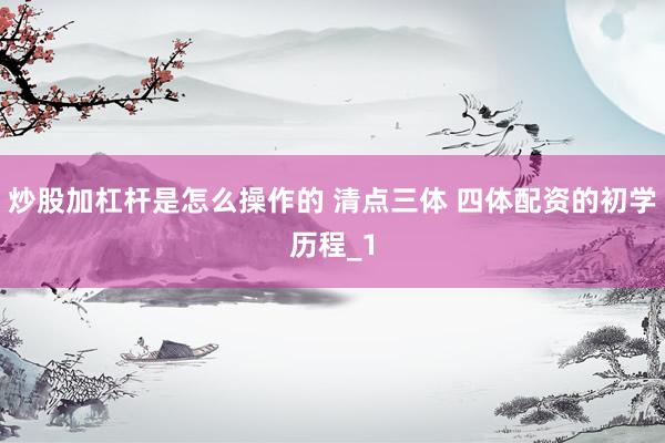 炒股加杠杆是怎么操作的 清点三体 四体配资的初学历程_1