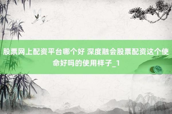 股票网上配资平台哪个好 深度融会股票配资这个使命好吗的使用样子_1