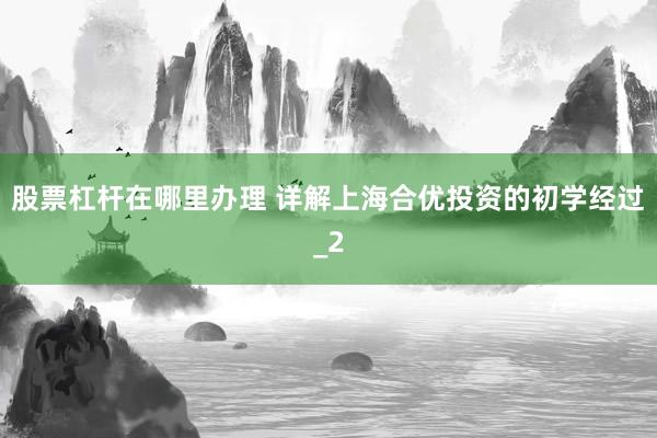 股票杠杆在哪里办理 详解上海合优投资的初学经过_2