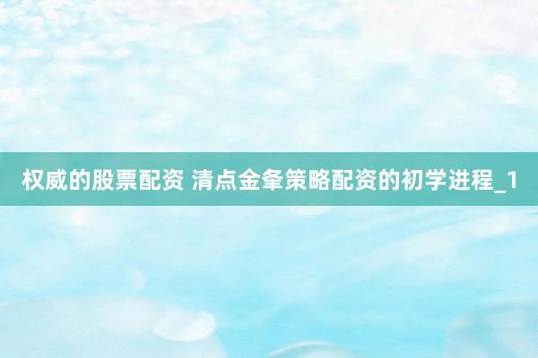 权威的股票配资 清点金夆策略配资的初学进程_1