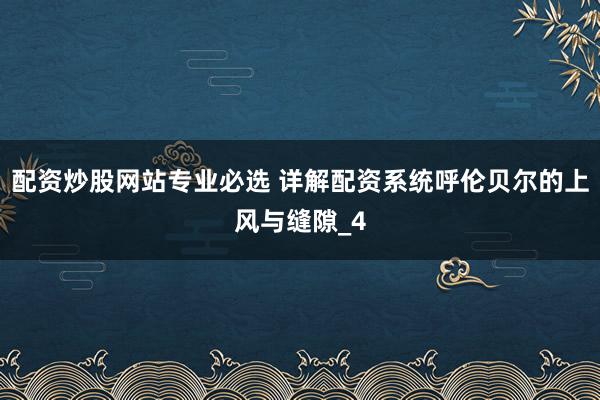 配资炒股网站专业必选 详解配资系统呼伦贝尔的上风与缝隙_4