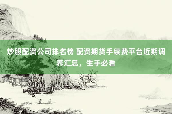 炒股配资公司排名榜 配资期货手续费平台近期调养汇总，生手必看