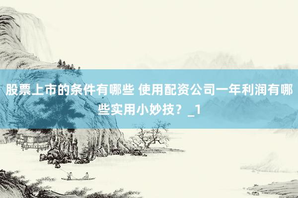 股票上市的条件有哪些 使用配资公司一年利润有哪些实用小妙技？_1