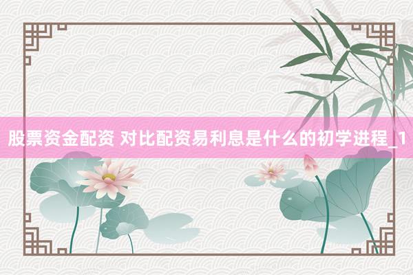股票资金配资 对比配资易利息是什么的初学进程_1
