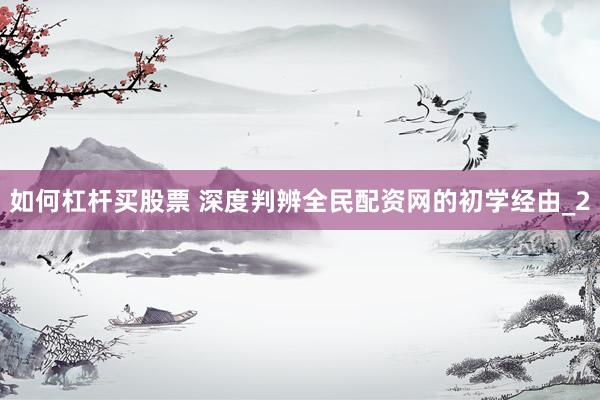 如何杠杆买股票 深度判辨全民配资网的初学经由_2