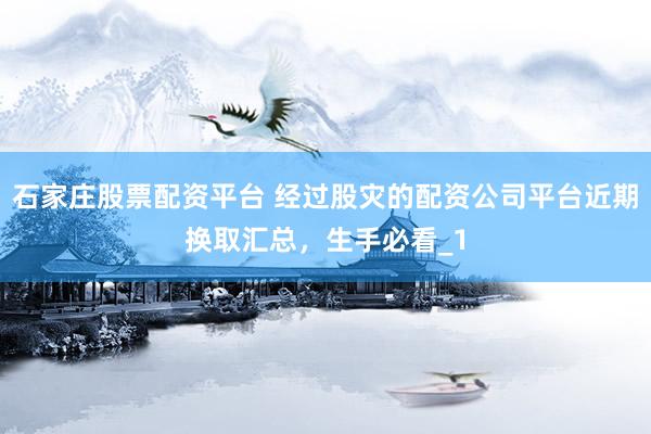 石家庄股票配资平台 经过股灾的配资公司平台近期换取汇总，生手必看_1
