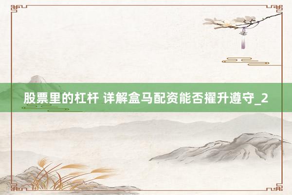 股票里的杠杆 详解盒马配资能否擢升遵守_2