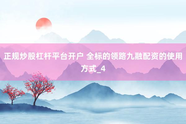 正规炒股杠杆平台开户 全标的领路九融配资的使用方式_4