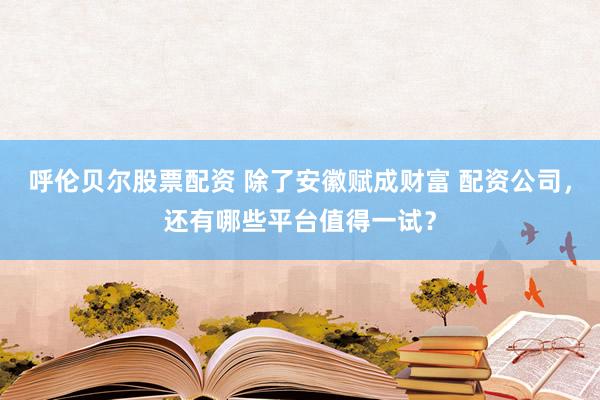 呼伦贝尔股票配资 除了安徽赋成财富 配资公司，还有哪些平台值得一试？