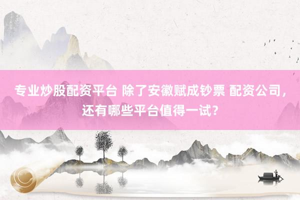 专业炒股配资平台 除了安徽赋成钞票 配资公司，还有哪些平台值得一试？