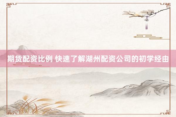 期货配资比例 快速了解湖州配资公司的初学经由