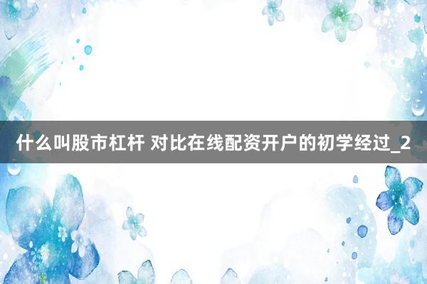 什么叫股市杠杆 对比在线配资开户的初学经过_2