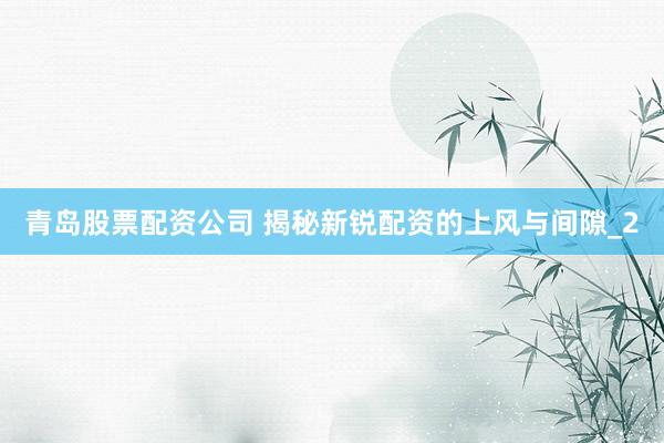青岛股票配资公司 揭秘新锐配资的上风与间隙_2