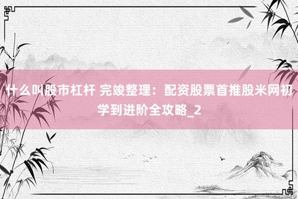 什么叫股市杠杆 完竣整理：配资股票首推股米网初学到进阶全攻略_2