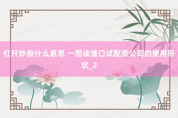 杠杆炒股什么意思 一图读懂口试配资公司的使用形状_2